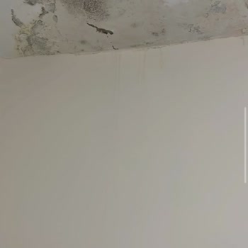 Türkiye Sigorta Hasar Sürecinde Mağduriyet Ve İletişim Sorunu