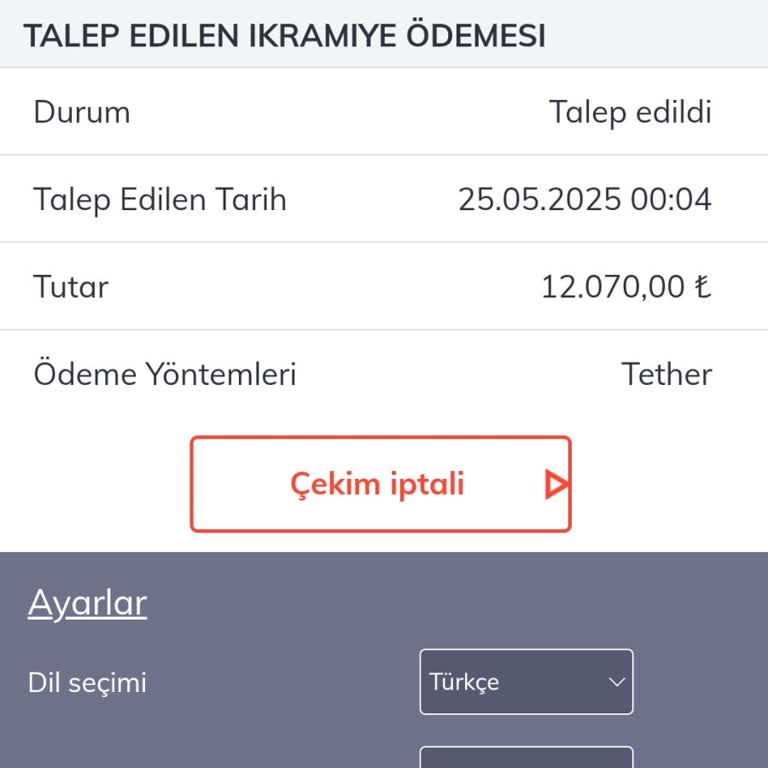 Bahigo Para Çekim İşlemim Günlerdir Beklemede