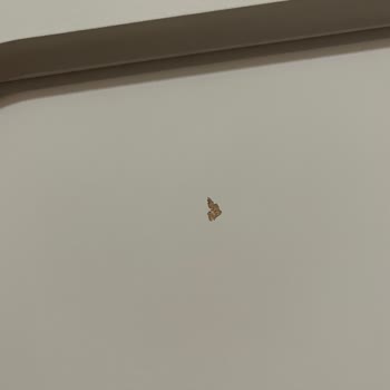 IKEA Konsolda Boya Atması Ve Eksik Parça Değişimi Sorunu