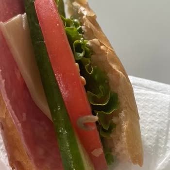 Sandviçte Solucan Çıkması Nedeniyle Sağlık Endişesi