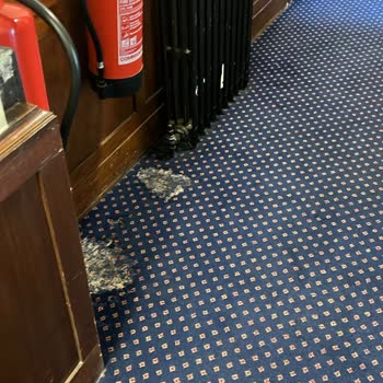 Booking.com Üzerinden Kiralanan Dairede Yaşanan Sorunlar Ve İade Mağduriyeti