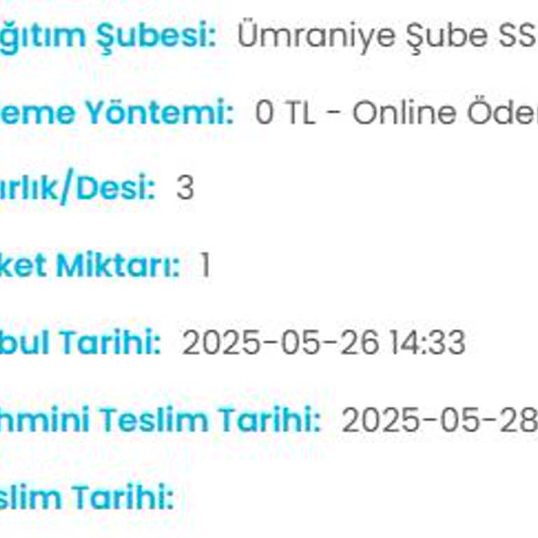 Kargom Teslim Edilmedi, Şube Ve Teslimat Sürecinde Gecikme Yaşıyorum