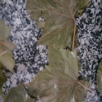 Ayşeli Köy Ürünleri Sipariş Verdiğim Salamura Yapraklar Kalitesiz Ve İlgisiz Hizmet