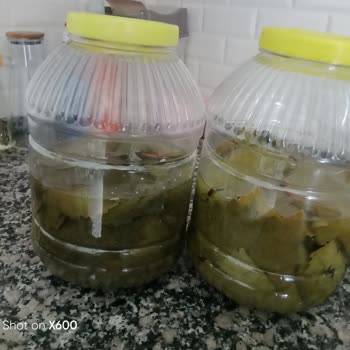 Ayşeli Köy Ürünleri Sipariş Verdiğim Salamura Yapraklar Kalitesiz Ve İlgisiz Hizmet