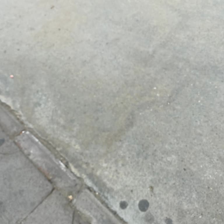 26 Numaralı Otobüslerin Durağa Uymaması Ve Yolcu Almaması Sorunu