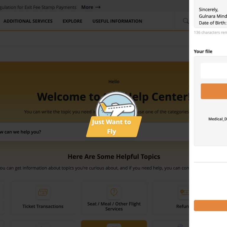 Pegasus Airlines Они Просто Игнорят Или Направляют На Неработающий Сайт