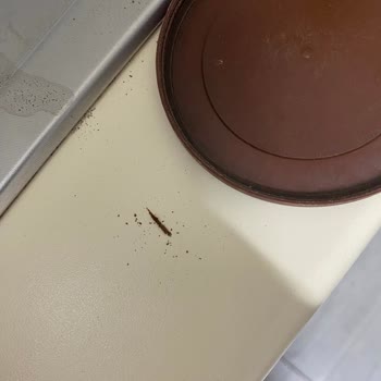 Türk Kahvesinden Tahta Parçası Çıkması Nedeniyle Hayal Kırıklığı