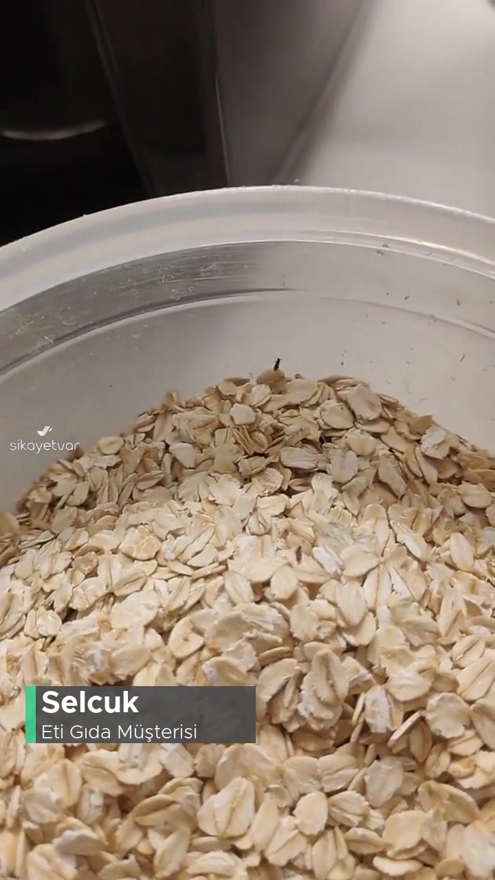 Eti Lifalif Böcekli Yulaf Ezmesi videonun kapak resmi