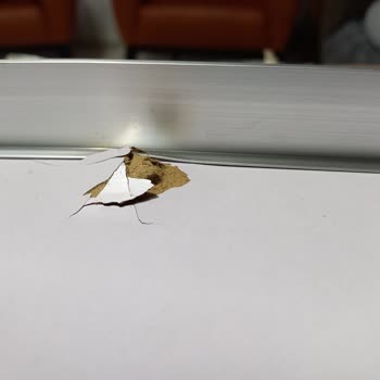 Koçtaş'tan Aldığım Arızalı Masa İçin İade Ve Değişim Sürecinde Yaşadığım Sorunlar