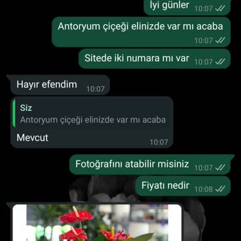 Aldığım Çiçek Siparişi Beklentimi Karşılamadı