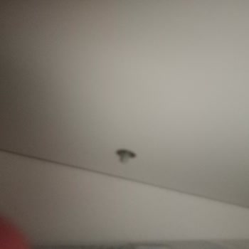 Yatak Odası Takımı Montajında Vida Sorunu Çözülemiyor