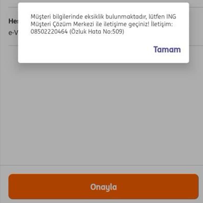 Uzaktaki Şubeye Gitmeye Zorlanmak Ve Müşteri Hizmetlerinde Yetersiz Destek