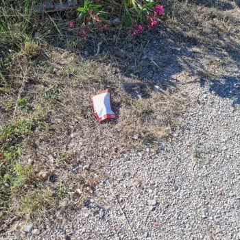 Broşür Dağıtımıyla Oluşan Çevre Kirliliği