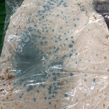 BİM Küflü Ekmek Ve Mağazada Kaba Davranışla Karşılaşmam