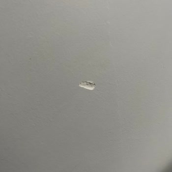 Pergole Montajında Gecikme Ve Kötü Hizmet Deneyimi