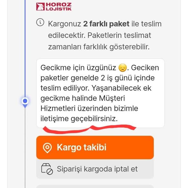 Horoz Lojistikte Teslimat Gecikmesi Ve İlgisizlik Mağduriyet Yaşatıyor