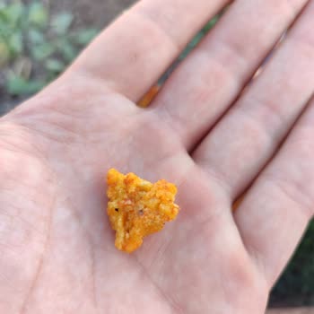 Doritos Cipsin İçinden Çıkan Sert Madde Şaşkınlığı