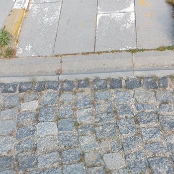 Engelliler İçin Yetersiz Ve Uygunsuz Tesis Koşulları