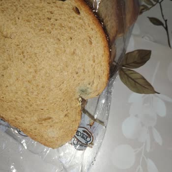 BİM Marketlerden Alınan Ekmeklerde Küf Sorunu Yaşanıyor