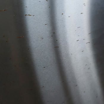 Bosch Buzdolabında Garanti Süresinde Kapak Paslanması Sorunu