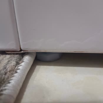 Bosch Çamaşır Makinesinde Deterjan Bölümü Ve Yan Kısımda Çürüme Sorunu