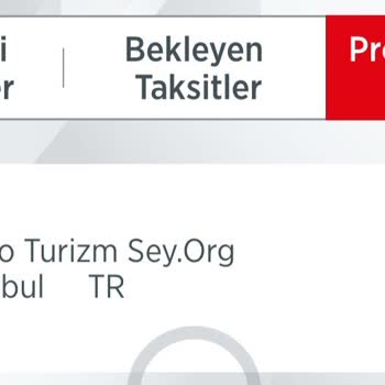 Bilet İptali Ve Müşteri Hizmetleri Deneyiminde Yaşanan Sorunlar