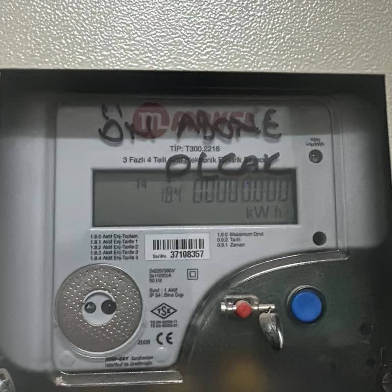 Elektrik Aboneliği İçin Yüksek Proje Maliyeti Ve Mevcut Projenin Bulunamaması