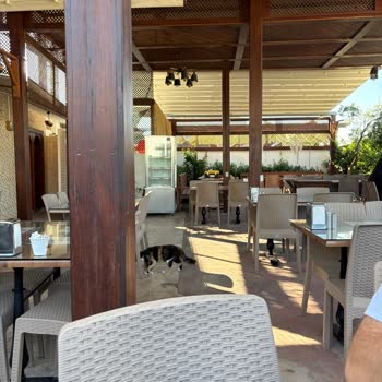 Hayal Kırıklığı Yaratan Kebap Deneyimi