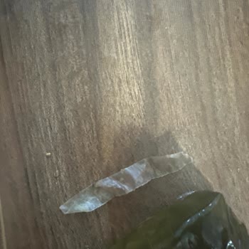 Sarma İçinden Plastik Çıktı, Sağlığım Tehlikeye Girdi
