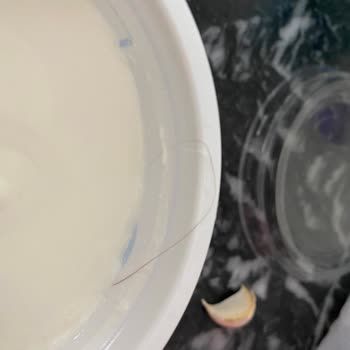 Sek Süzme Yoğurttan Çıkan Kıl Hijyen Endişesi Yarattı