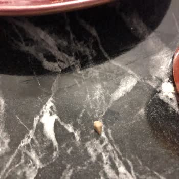 Mini Poğaçadan Taş Çıkması Nedeniyle Sağlık Riski Yaşadım