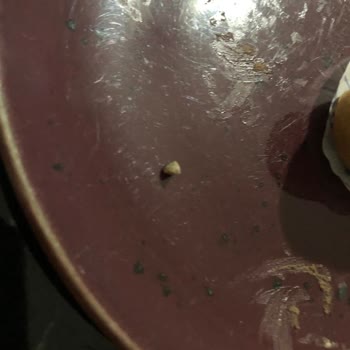 Mini Poğaçadan Taş Çıkması Nedeniyle Sağlık Riski Yaşadım