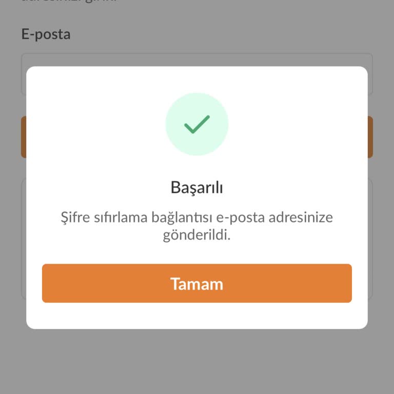 Şifre Sıfırlama Linki Gelmiyor, Hesabıma Erişemiyorum