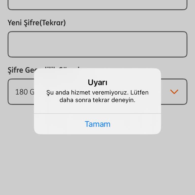 ING Bank Uygulamasında Şifre Alınamıyor Ve Kredi Kullanılamıyor