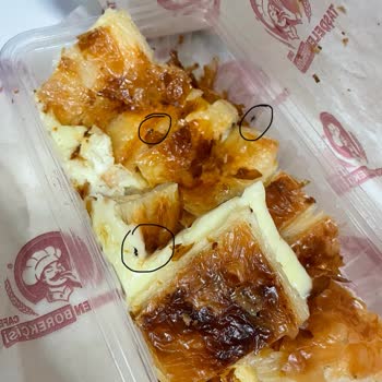 Taşdelen Börekçisi & Cafe Börek İçerisinde Sinek Olması