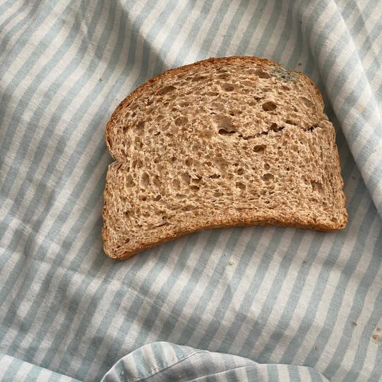 Migros'tan Gelen Küflü Ekmek Hayal Kırıklığı Yarattı