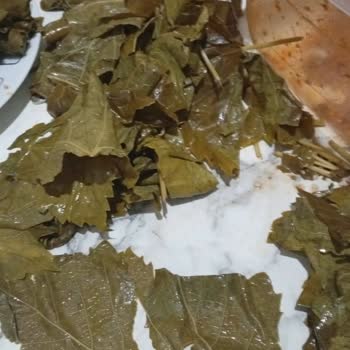 Siparişim Taze Ve Sağlam Ulaşmadı