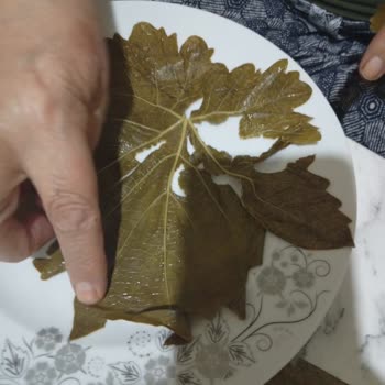 Siparişim Taze Ve Sağlam Ulaşmadı