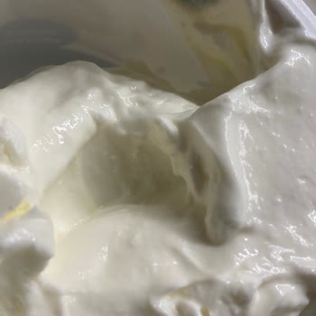 Sek Aldığım Yoğurtların Hepsi Küflü Ve Kötü Kokulu Çıktı