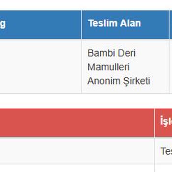Bambi Ayakkabı Hem Fazla Kargo Ücreti Aldı Hem De İade Sürecini Uzattı