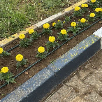 Zemin Boyama Sistemleri Yağmur Sonrası Zemin Boyası Döküldü, Büyük Hayal Kırıklığı