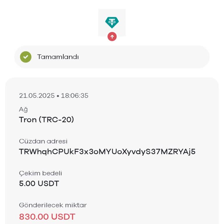 830 USD Hesabıma Geçmedi Para Kayboldu Destekten Çözüm Alamıyorum