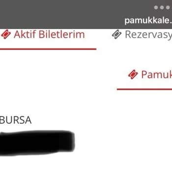 Açık Biletin Bayram Döneminde Kullanılamaması Ve Ani Fiyat Artışı Mağduriyeti