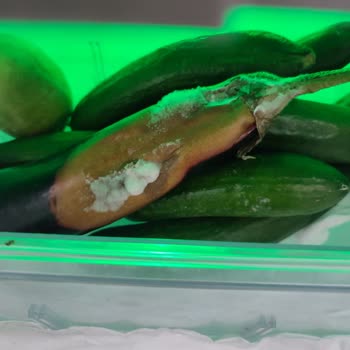 Arçelik Buzdolabında Sürekli Bozulma Ve Çözülmeyen Sorun