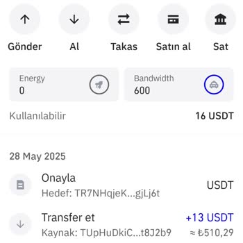 Trust Wallet'ta USDT Transferi Gerçekleşmedi, Destek Süreci Yetersiz Kaldı
