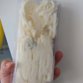 Vakumlu Çeçil Peynir Küflenmiş Çıktı