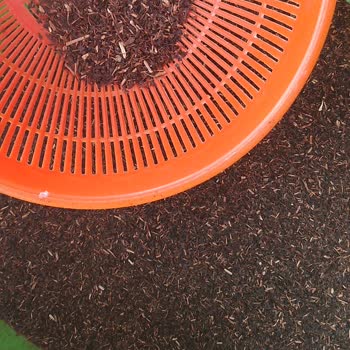 Çay Kalitesindeki Düşüş Ve İçerik Sorunu