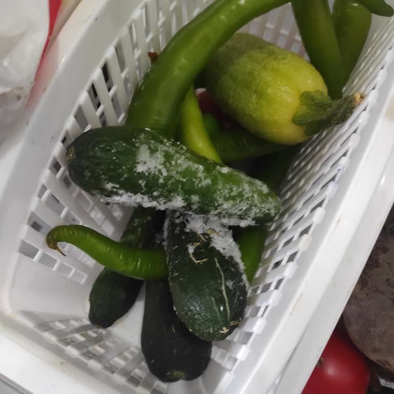 Profilo Kronik Arızalı Buzdolabı