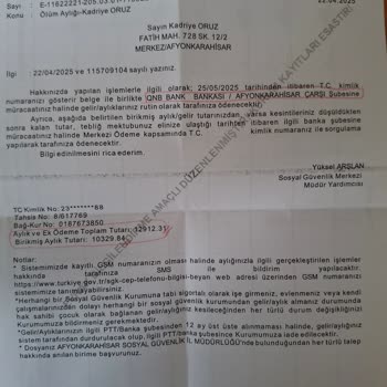 Banka Şubesinde Yaşlı Müşteri İşlemlerinde Karşılaşılan Sorunlar