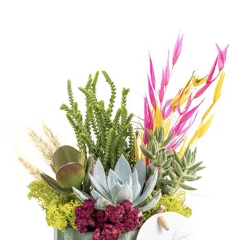 Siparişim Beklediğimden Farklı Geldi, Destek Alamıyorum